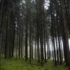 09 b Schluchensteig Etappe 4 - 6